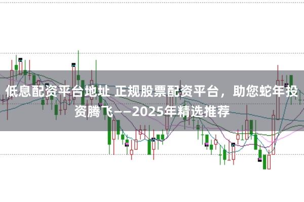 低息配资平台地址 正规股票配资平台，助您蛇年投资腾飞——2025年精选推荐