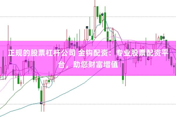 正规的股票杠杆公司 金钩配资：专业股票配资平台，助您财富增值