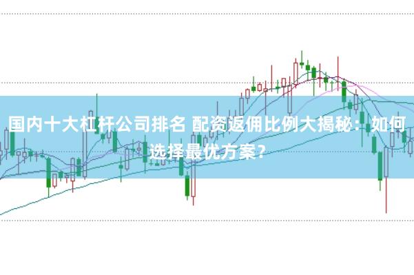 国内十大杠杆公司排名 配资返佣比例大揭秘：如何选择最优方案？