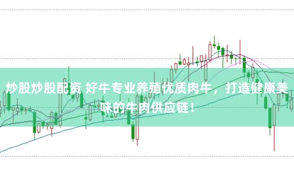 炒股炒股配资 好牛专业养殖优质肉牛，打造健康美味的牛肉供应链！