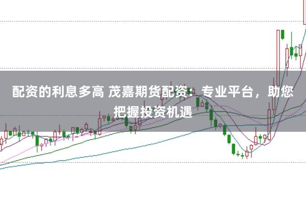 配资的利息多高 茂嘉期货配资：专业平台，助您把握投资机遇