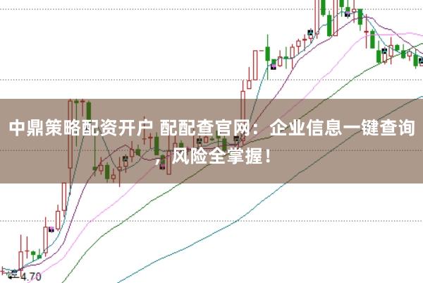 中鼎策略配资开户 配配查官网：企业信息一键查询，风险全掌握！