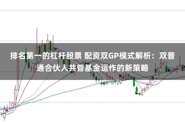排名第一的杠杆股票 配资双GP模式解析：双普通合伙人共管基金运作的新策略