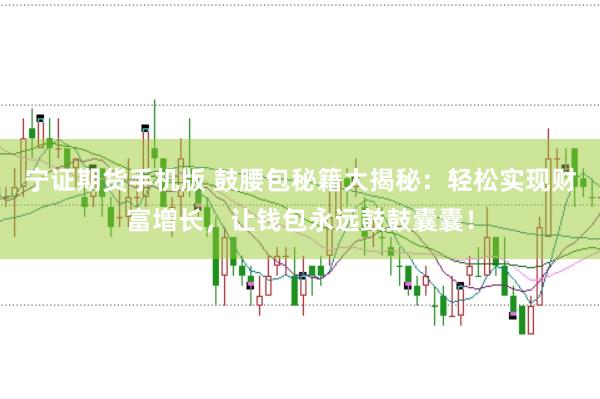 宁证期货手机版 鼓腰包秘籍大揭秘：轻松实现财富增长，让钱包永远鼓鼓囊囊！