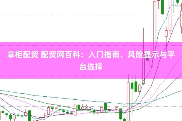 掌柜配资 配资网百科：入门指南、风险提示与平台选择
