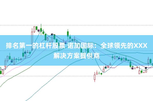 排名第一的杠杆股票 诺加国际：全球领先的XXX解决方案提供商