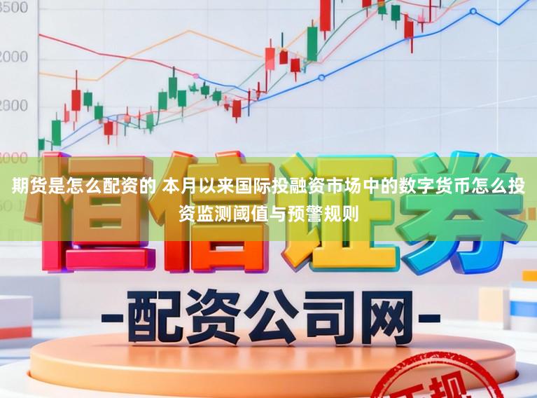 期货是怎么配资的 本月以来国际投融资市场中的数字货币怎么投资监测阈值与预警规则